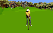 Golf1.gif (33854 bytes)